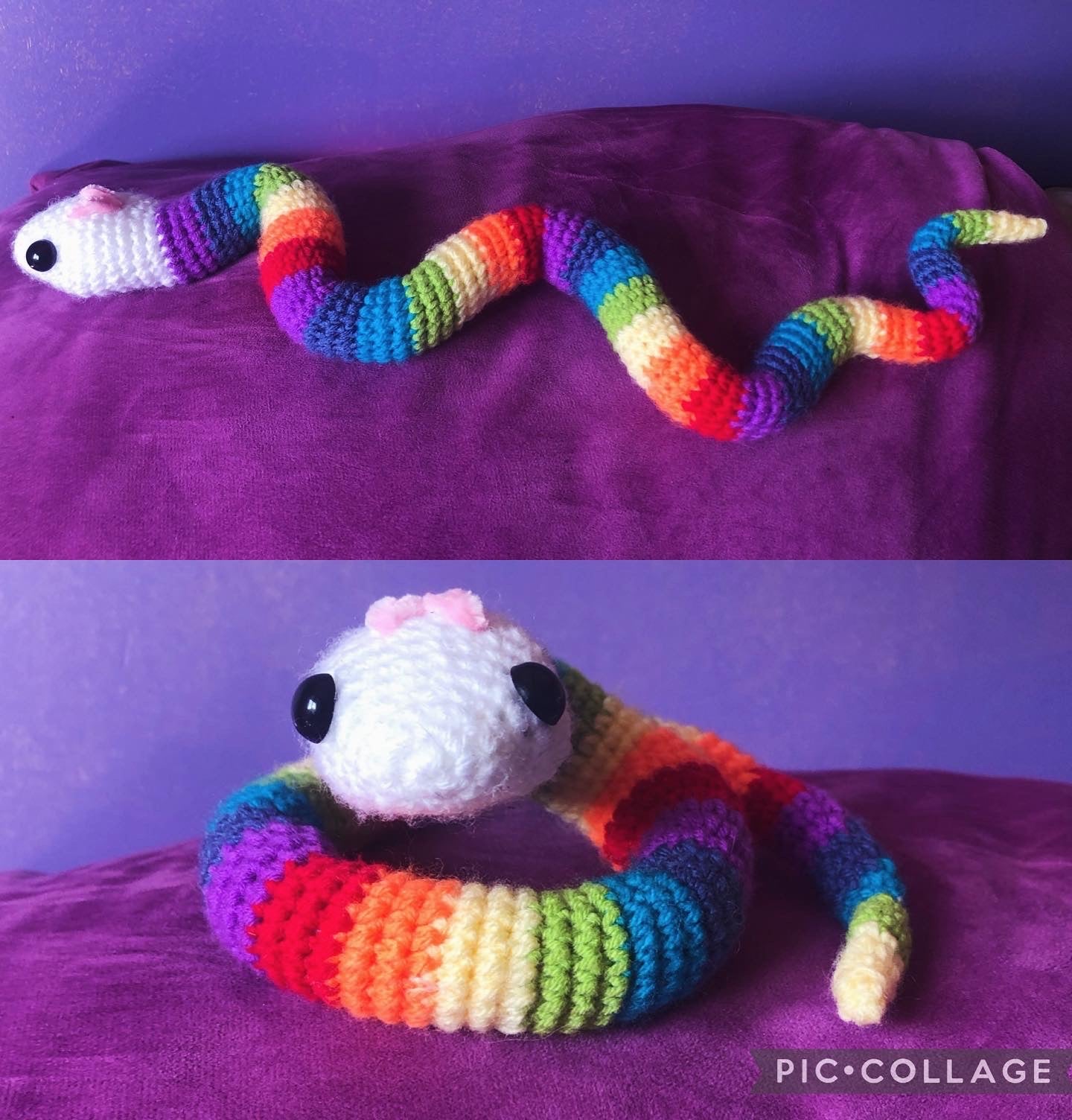 Rainbow snake