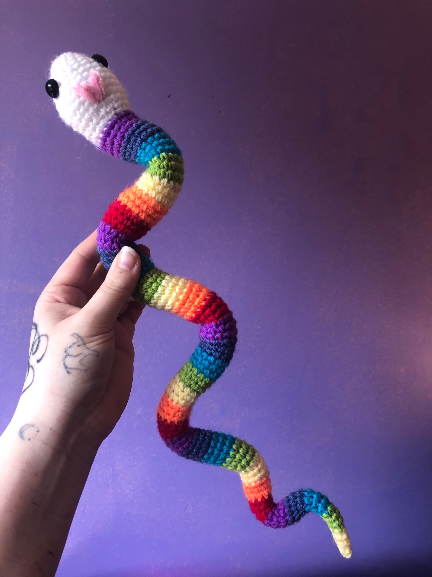 Rainbow snake