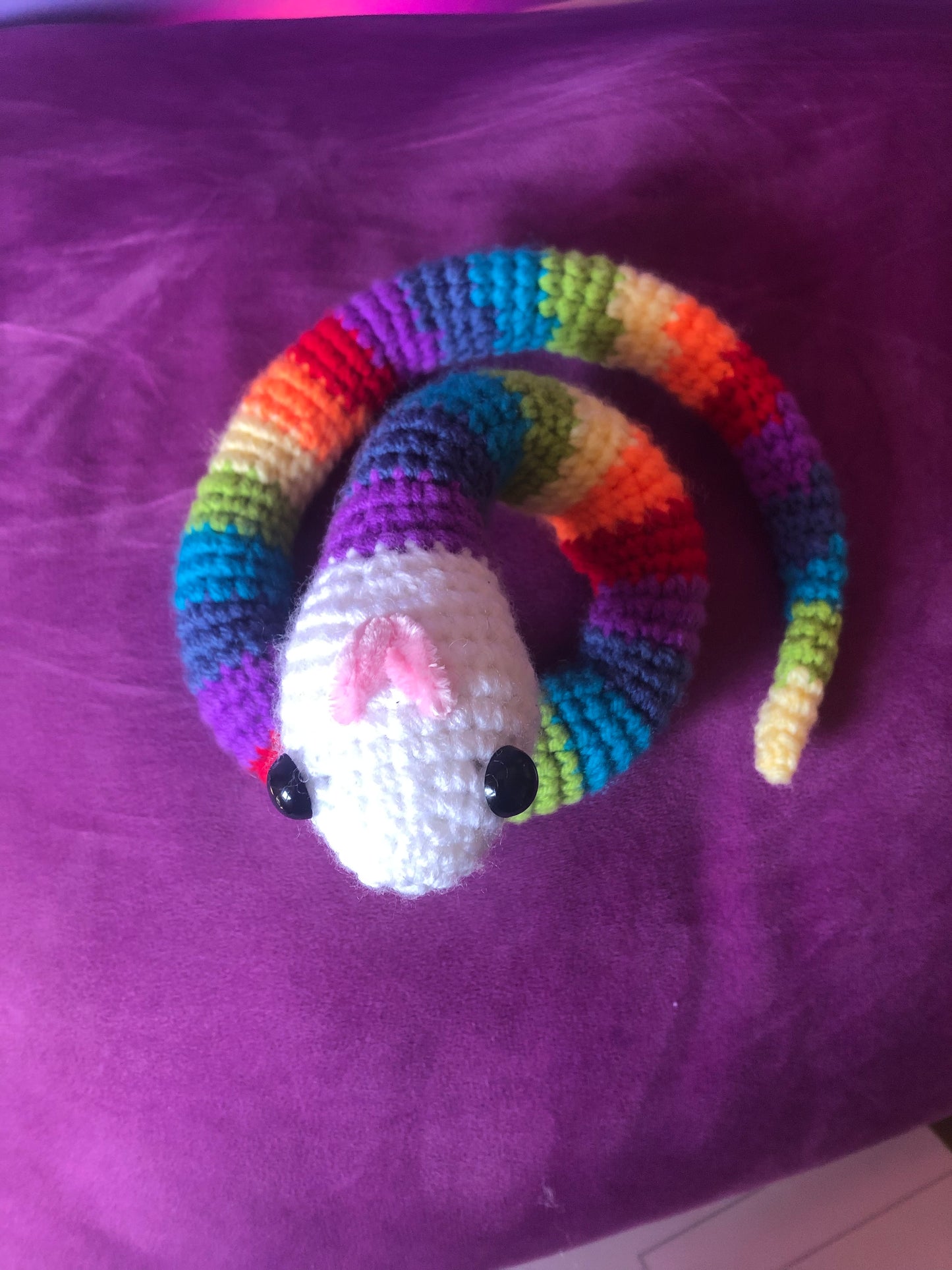 Rainbow snake