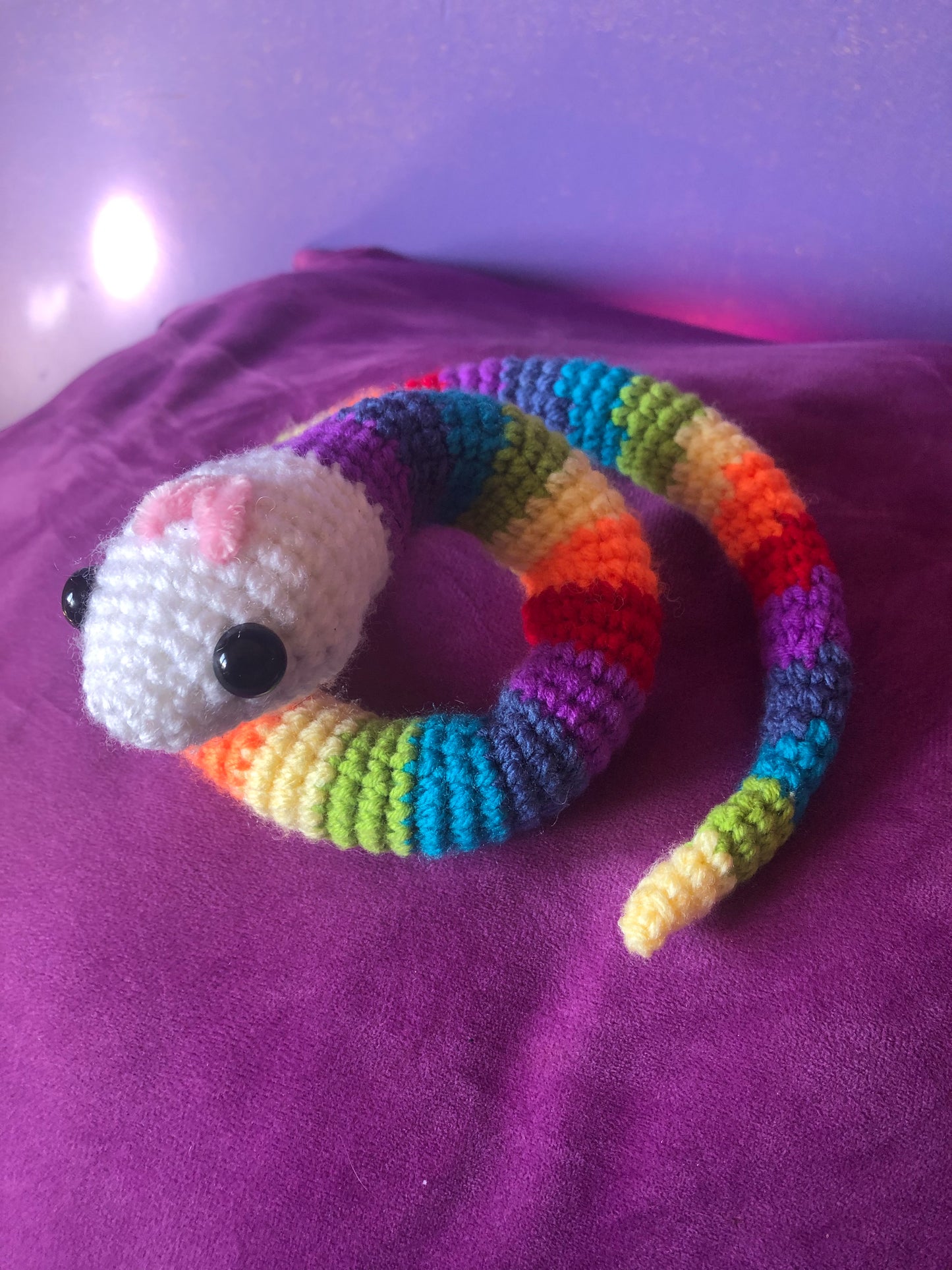 Rainbow snake