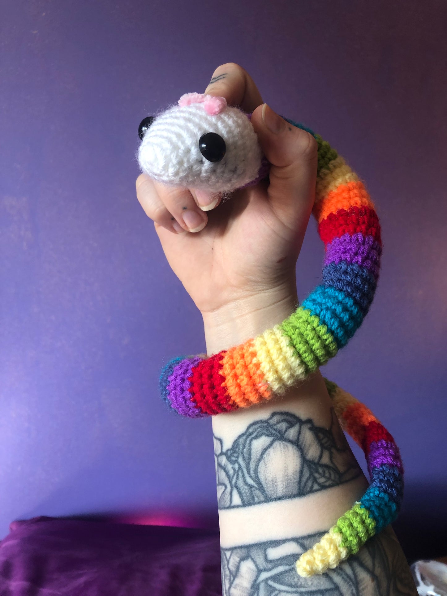 Rainbow snake