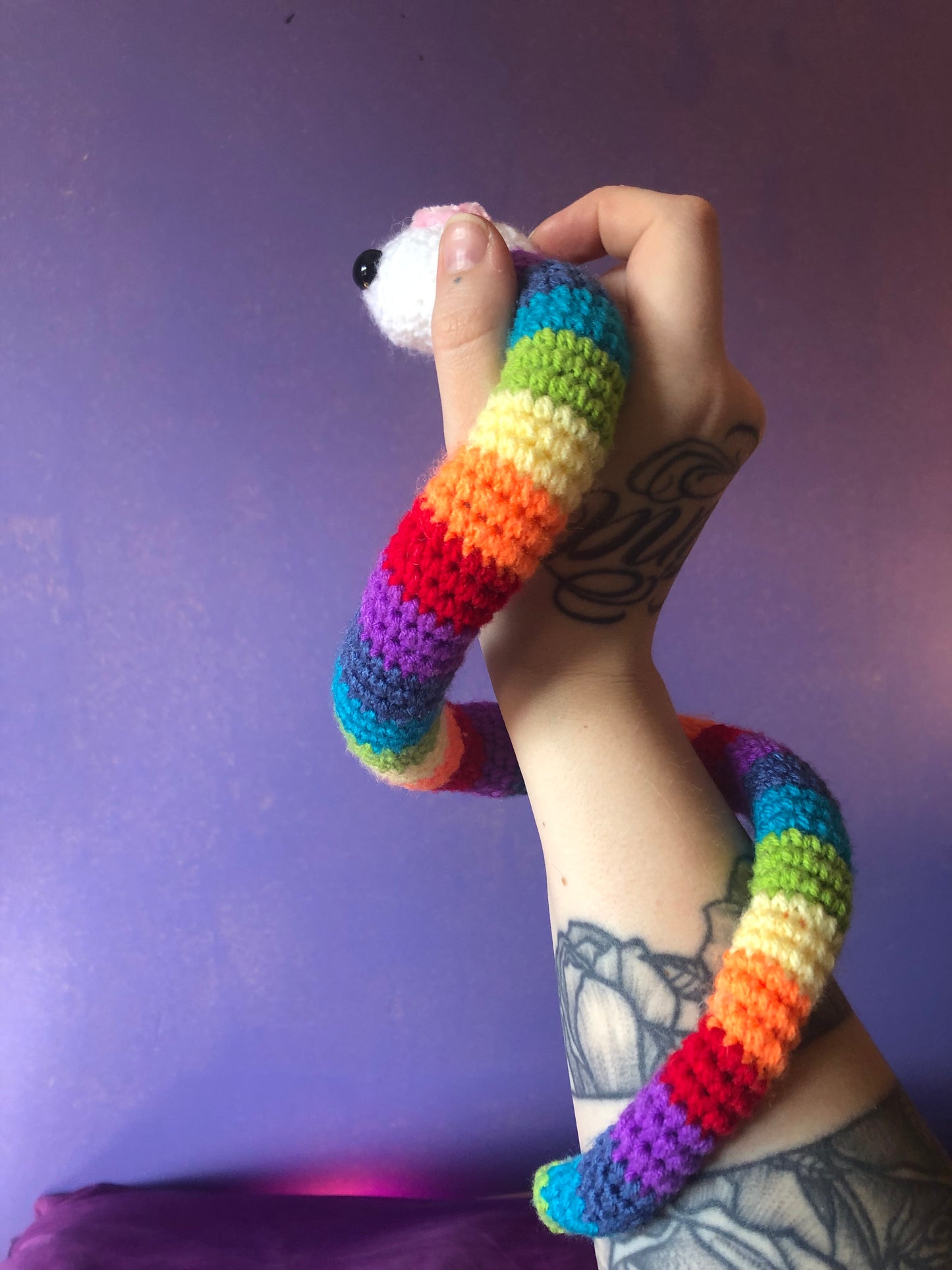 Rainbow snake